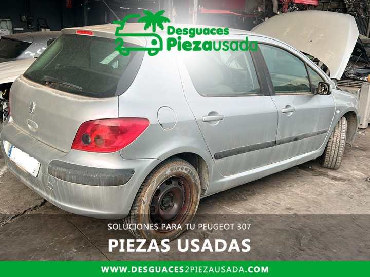 SOLUCIONES PARA TU PEUGEOT 307